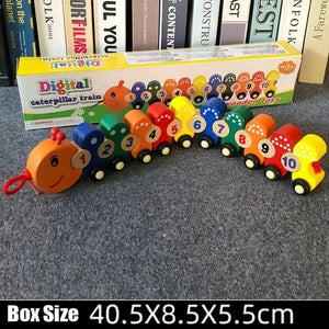 Wooden Caterpillar Train Toy – Lacing Toy - Tynee Tots